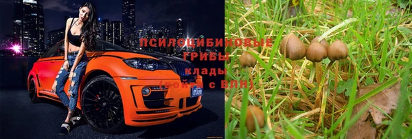 метадон Алексеевка