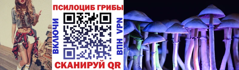 darknet Telegram Лениногорск Галлюциногенные грибы мухоморы