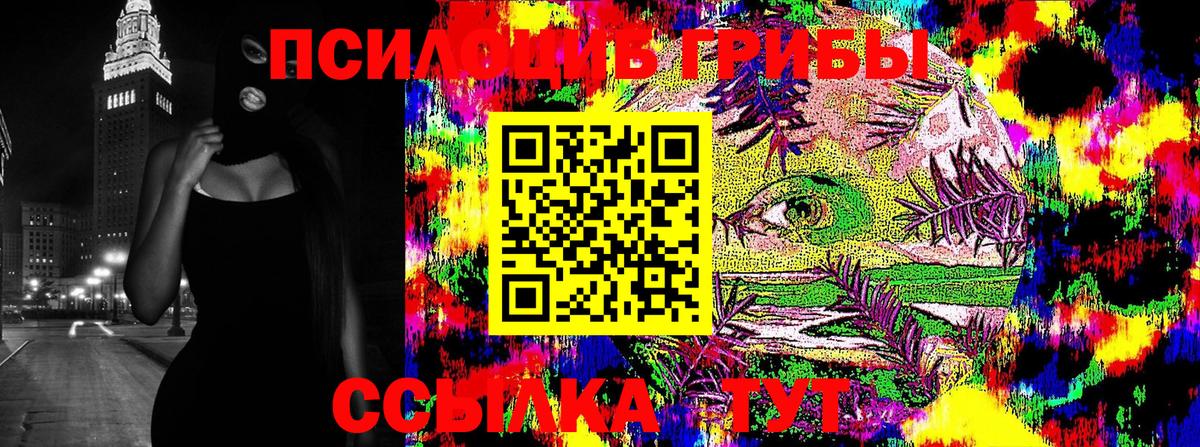 Галлюциногенные грибы мицелий  Галлюциногенные грибы прущие грибы  Вход с VPN  Лениногорск 